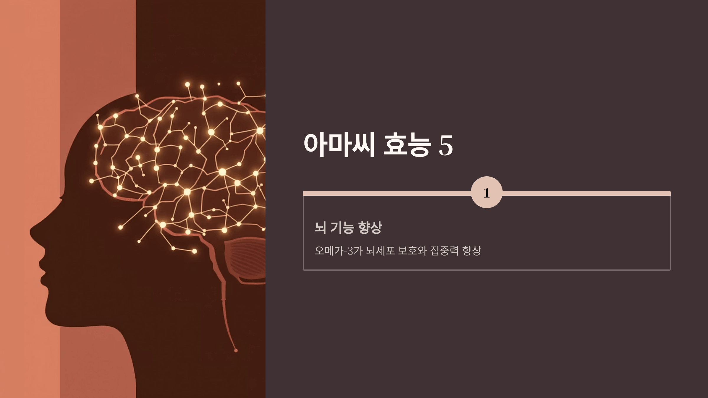 아마씨 사진입니다.