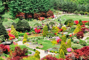 5월에 방문하는 축제 BEST 7