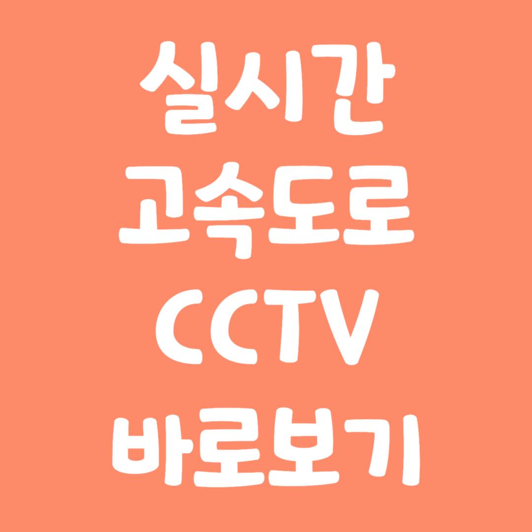 실시간 고속도로 CCTV 바로보기