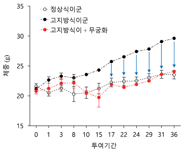 체중 변화