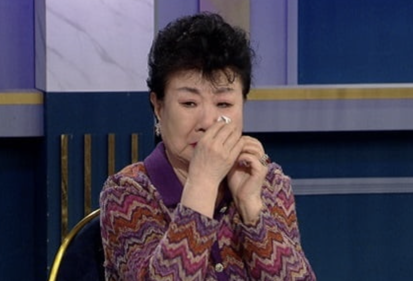 현미 방송활동