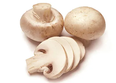 양송이버섯 제철 손질법과 볶음 요리 보관까지 전부 알려드립니다_2