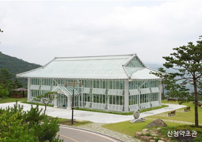 산청약초관