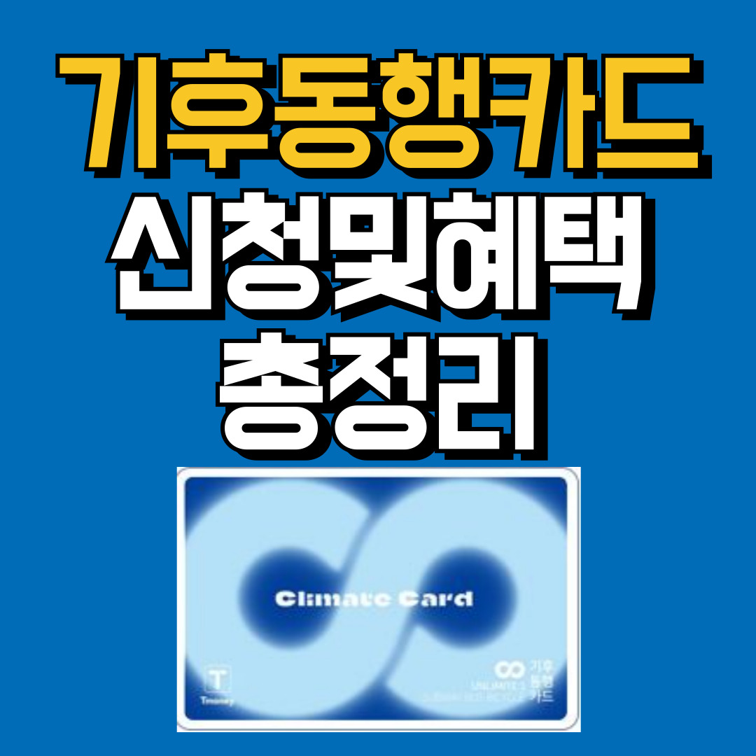 기후동행카드