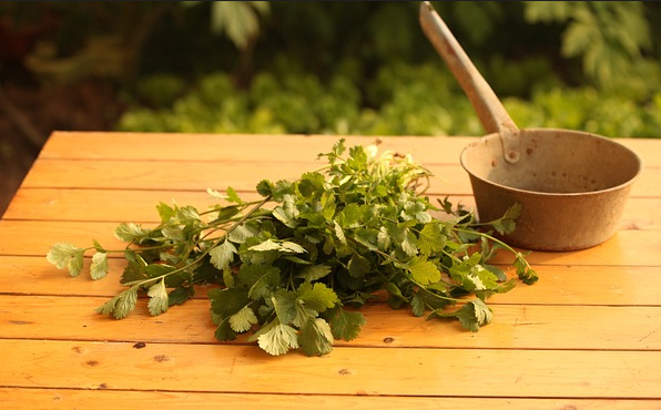 고대 한국과 한의학 &ndash; 삼국 시대의 의료 관행과 약재