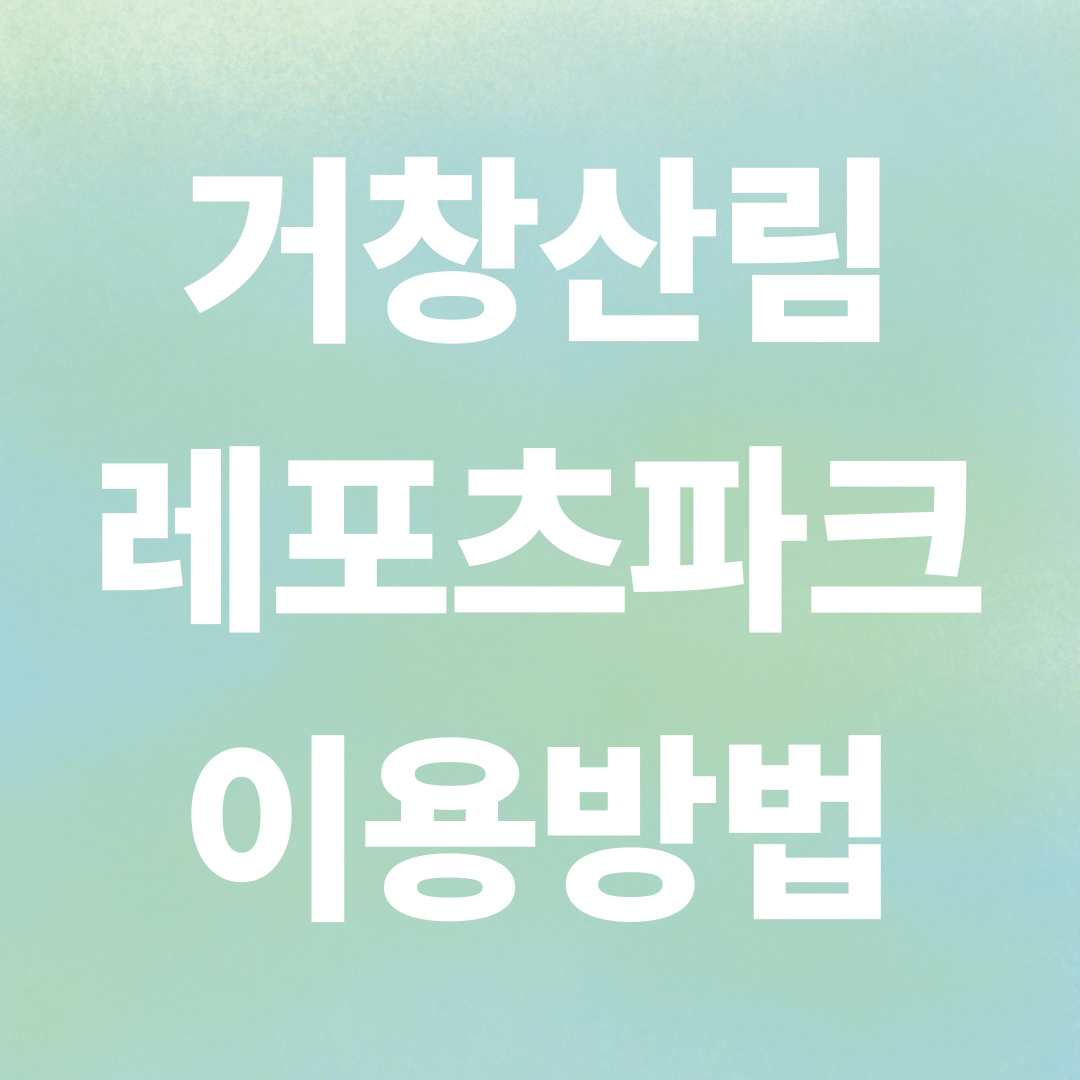 ‘한국의 베트남 바나힐’ 거창산림레포츠파크 완벽 가이드