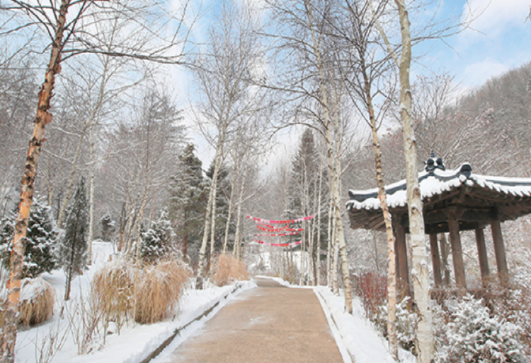 아침고요 수목원