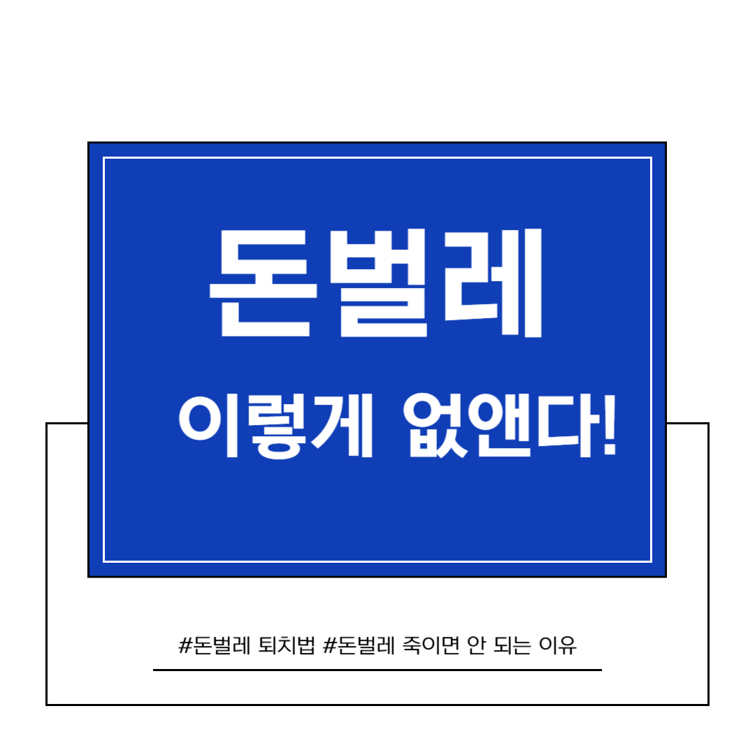 돈벌레
