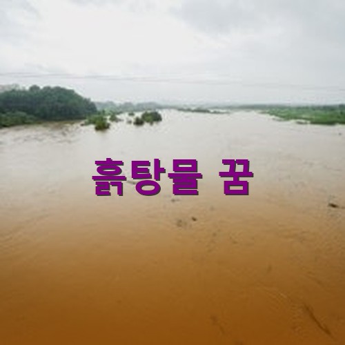 흙탕물이-온-세상을-덮듯-마을을-덮친-모습