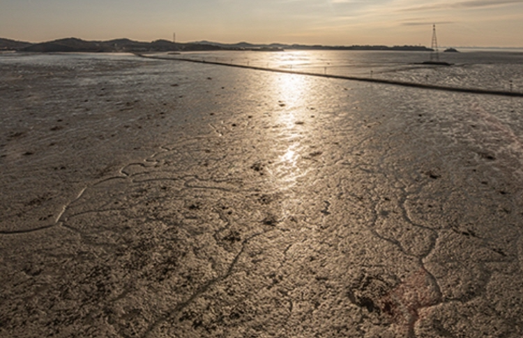 제부도 케이블카