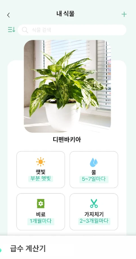 꽃검색9