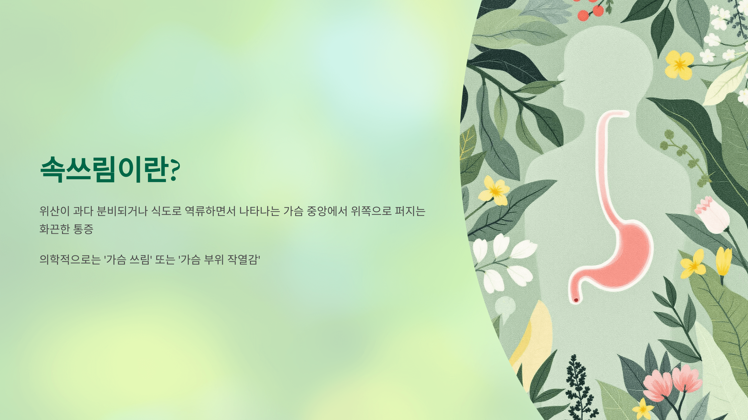속쓰림 증상 사진입니다.