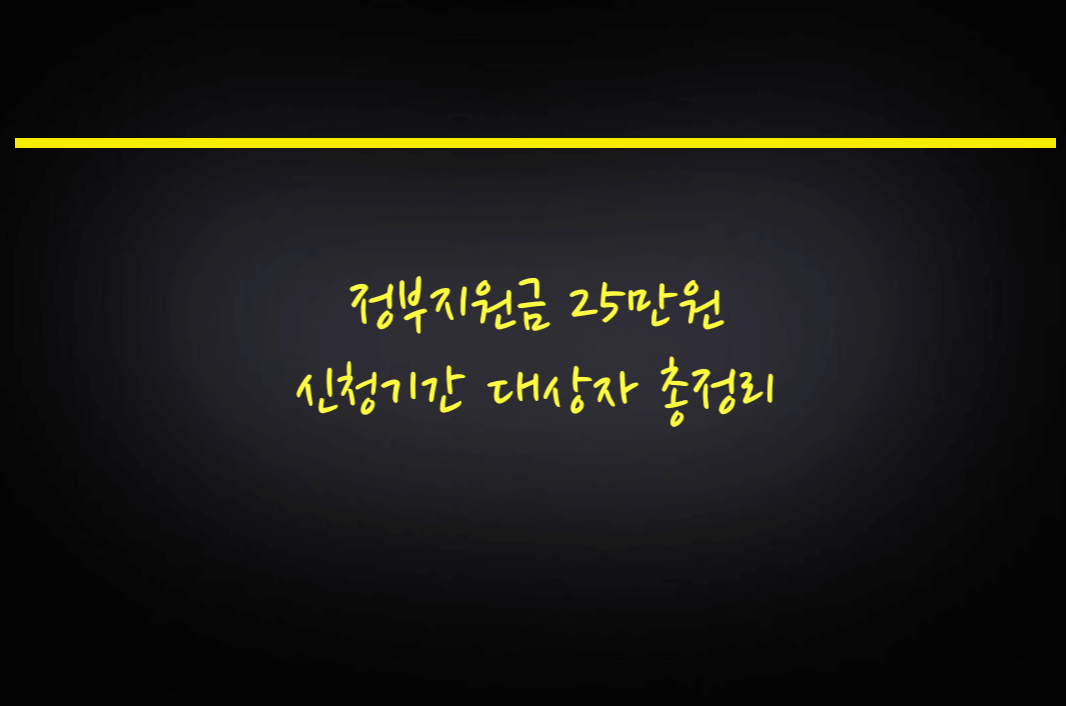 정부지원금 25만원