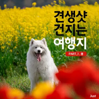 경상도 봄여행 가볼만한곳 베스트 10 완벽 여행 가이드_16