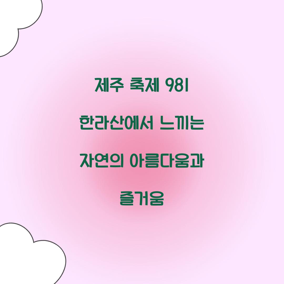 제주 축제 981 한라산