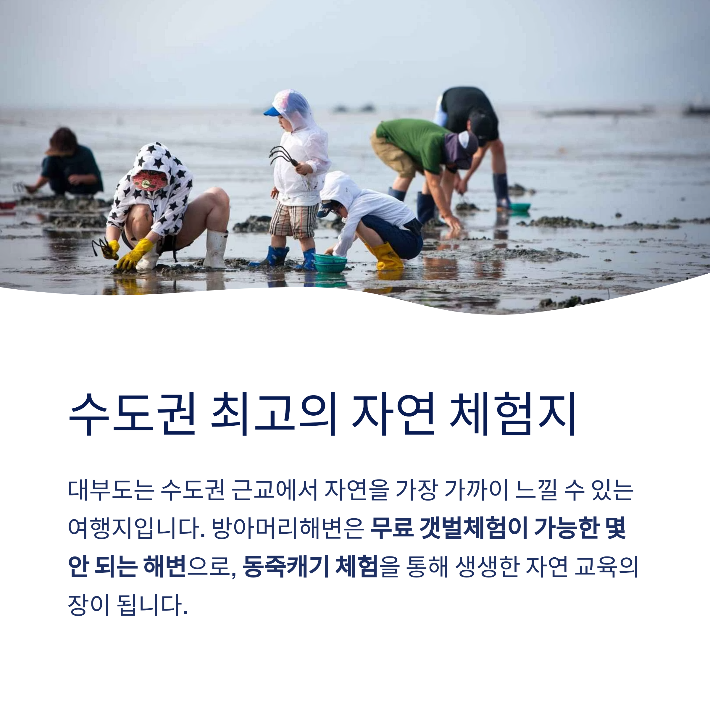 수도권 최고의 자연 체험지