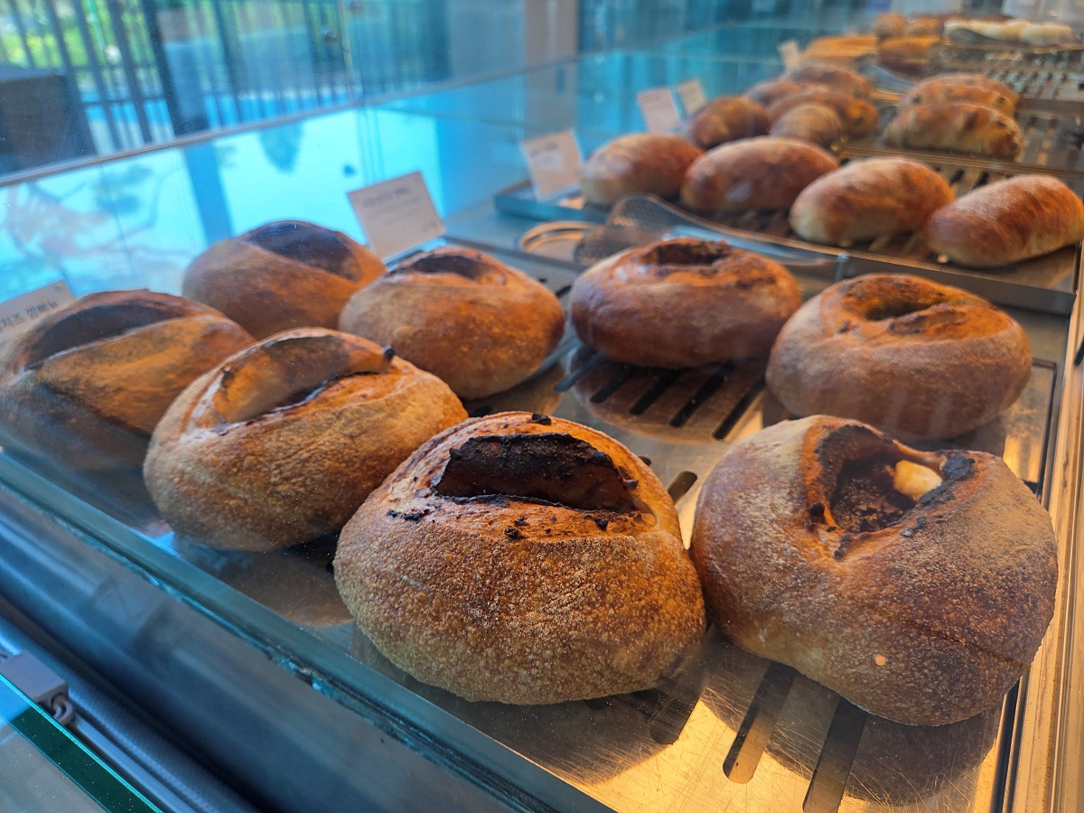 강화도 대형카페 두운리, 초록의 목수국 정원까지 즐기는 강화도 갈만한곳