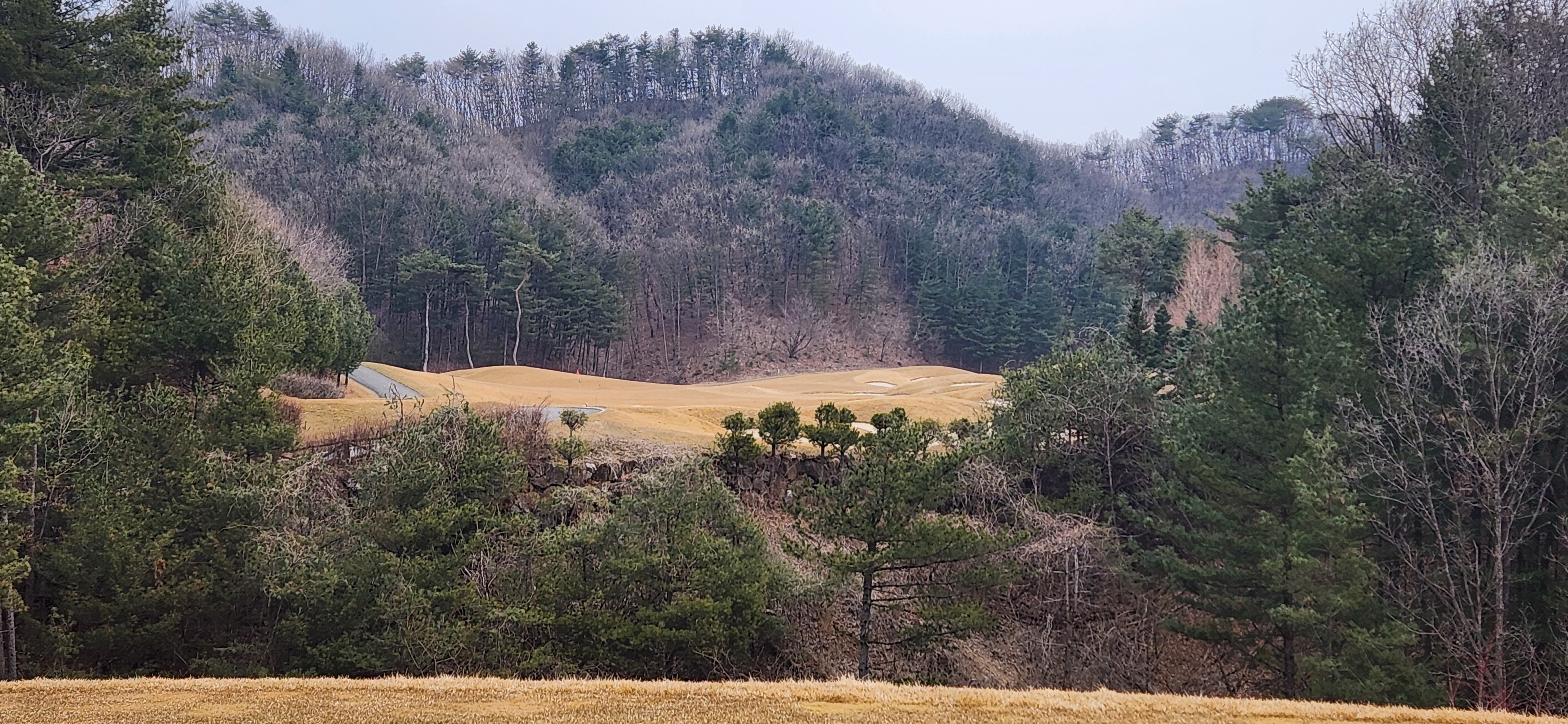 힐드로사이cc