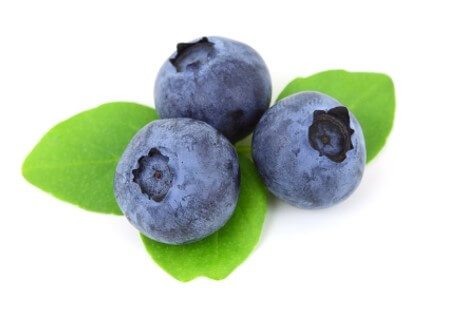 블루베리 이미지