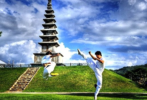 택견 수련이 신체 건강에 미치는 긍정적인 영향