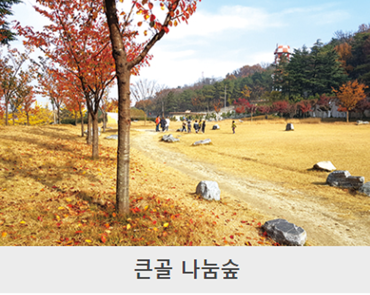 대구 앞산 등산코스