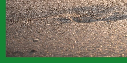 여름철건강관리