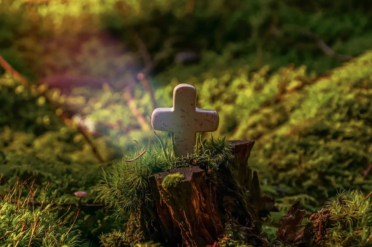 성경이 말하는 참된 겸손: 힘이 아닌 낮아짐에서 시작되는 위대함