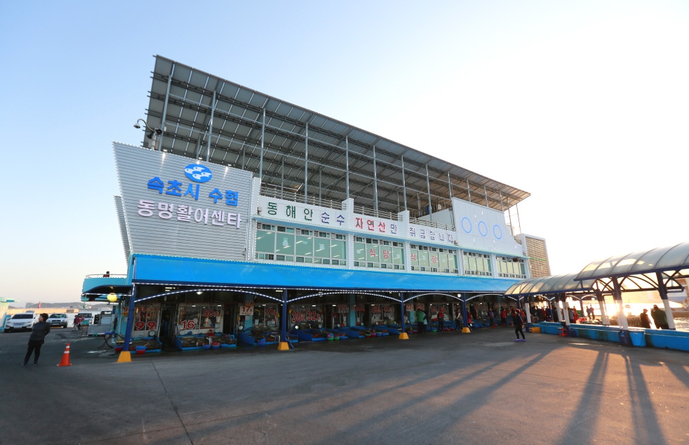 동명항-회센터