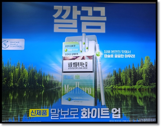 편의점 알바 편의점 담배 종류 필립모리스의 신상품 '말보로 비스타 화이트업' 출시 맛 향 특징 분석
