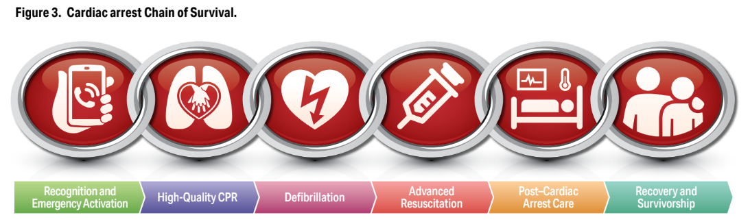 2025 AHA guideline_cardiac arrest chain of survival