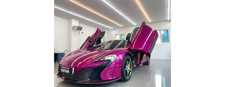 전주 덕진구 ppf