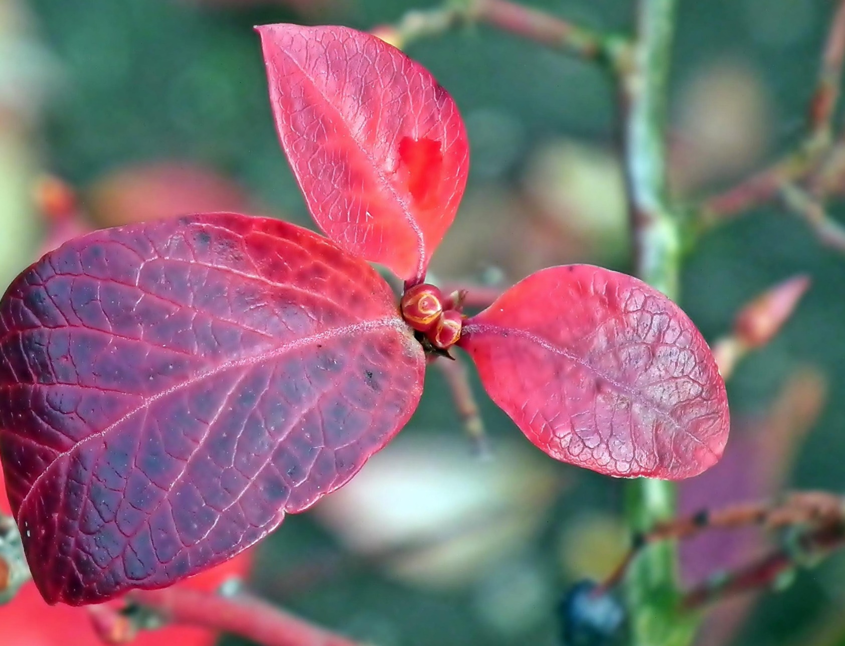 공복혈당 100 vs 110, 10의 차이가 만드는 10년 후의 몸!
