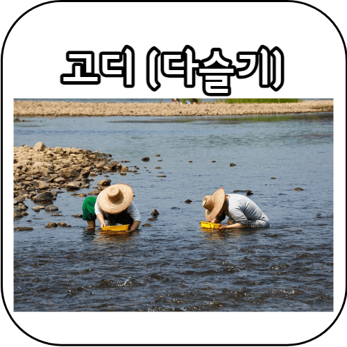 고디 채집