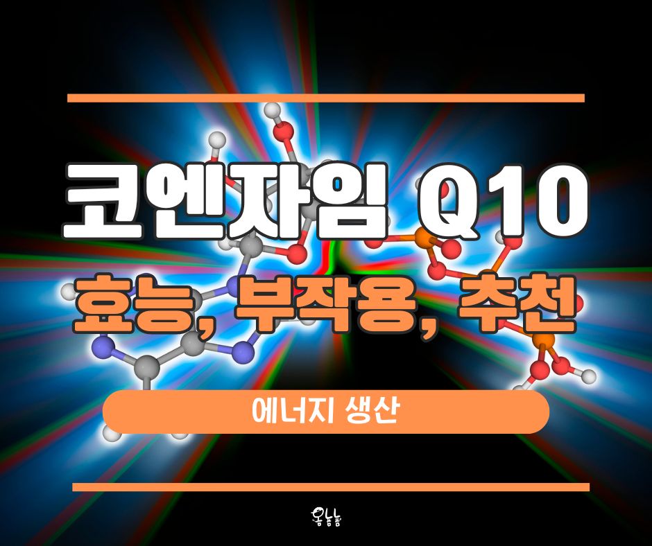 코엔자임 Q10의 효능