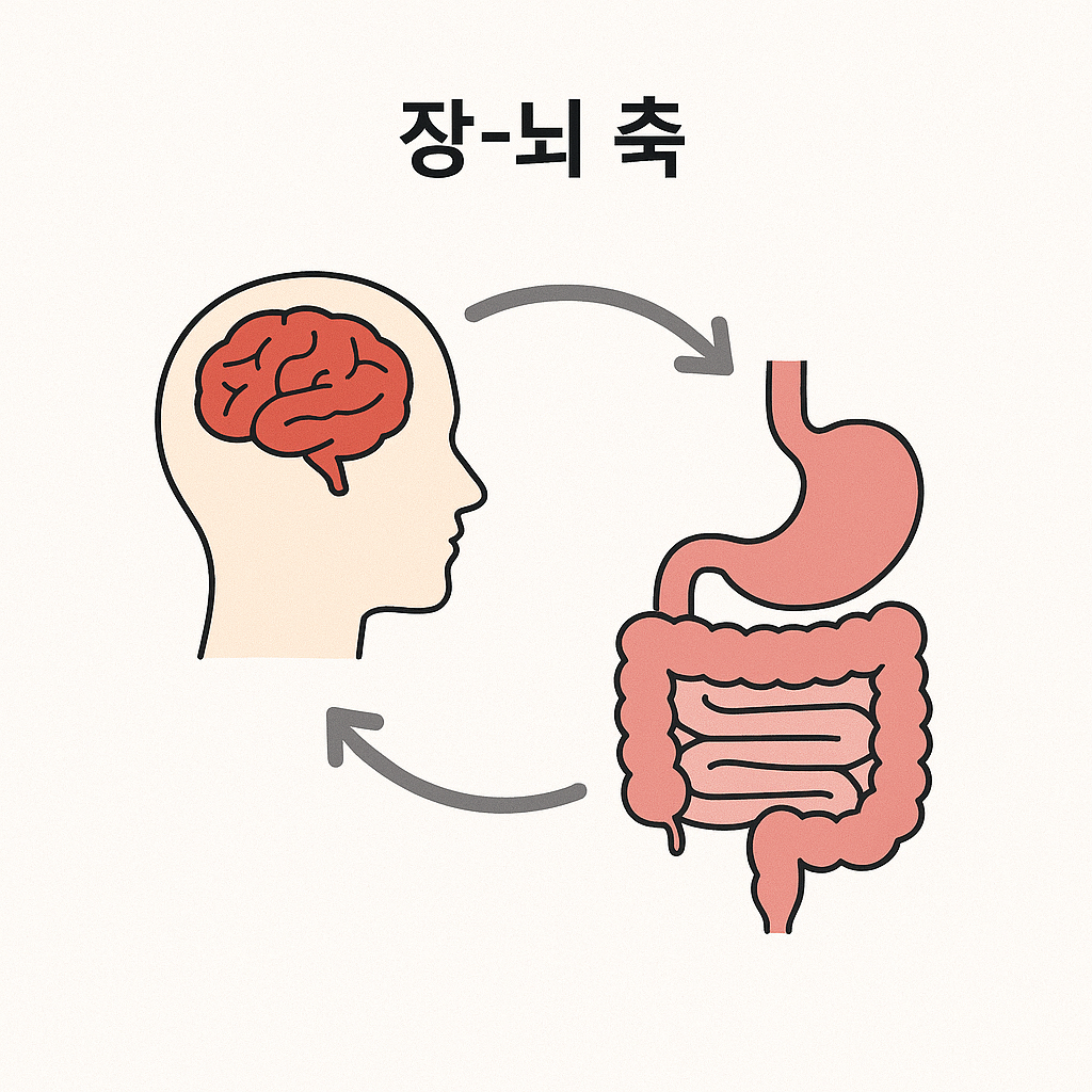 장뇌축