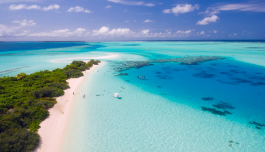 10월 2일 임시공휴일