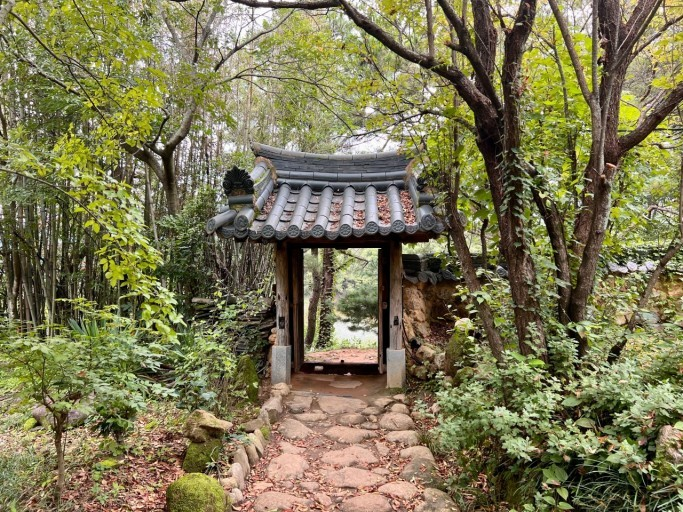 생방송투데이 스카이바이크&amp;#44; 쌍산재&amp;#44; 향나무숲