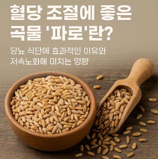 혈당조절에 좋은 곡물 파로 관련 사진