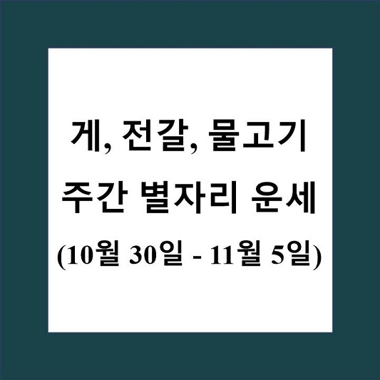 게자리 전갈자리 물고기자리 주간 별자리 운세 제목 상자