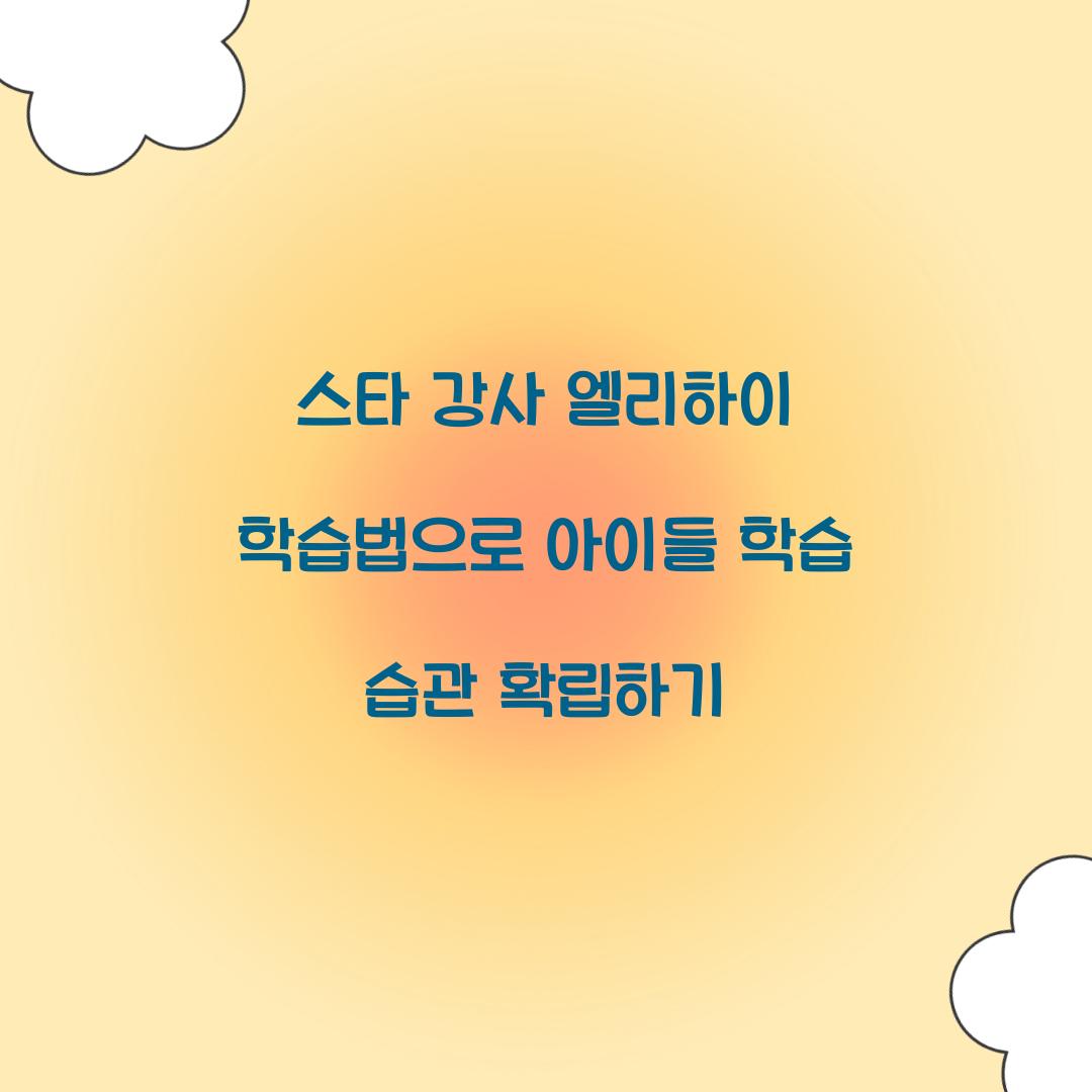 스타 강사 엘리하이 학습법