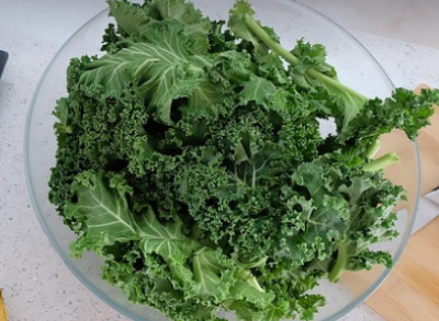 강아지 백내장에 좋은 음식 케일