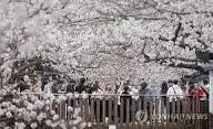 2026-진해-군항제-전야제