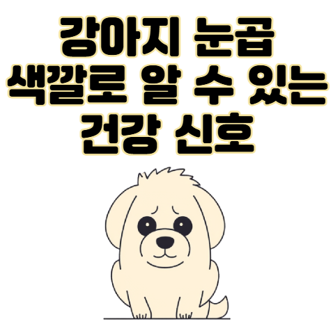강아지 눈곱, 색깔로 알 수 있는 건강 신호와 관리법