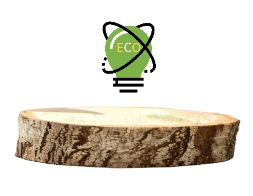 Zero Waste 이사하는 법 – 친환경 포장 & 짐 줄이는 방법