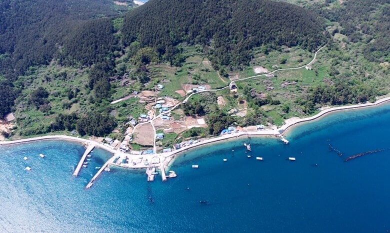 경남 거제 산달도마을 전경을 하늘에서 내려다 본 전경으로 위로는 산이 있고 아래로는 푸른바다가 있으며 그 경계선에 작은 항구(선착장)가 있고 몇몇 집과 건물들이 듬성듬성 있는 모습