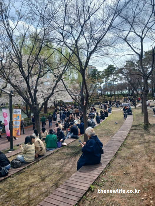 석촌호수 벚꽃 축제 개막식 장소 사진