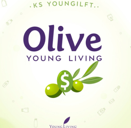 올리브영민생지원금그림