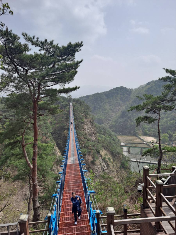 출렁다리 건너는 이들