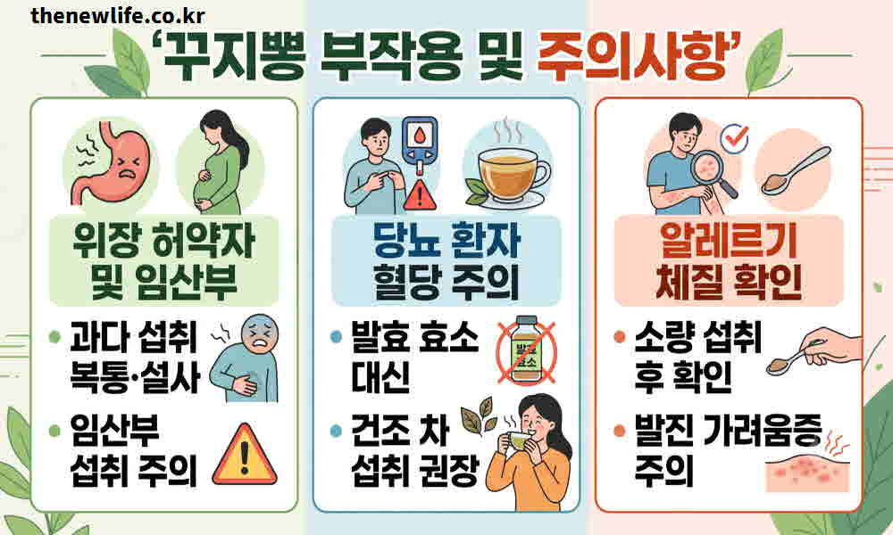 꾸지뽕 열매 효능 부작용