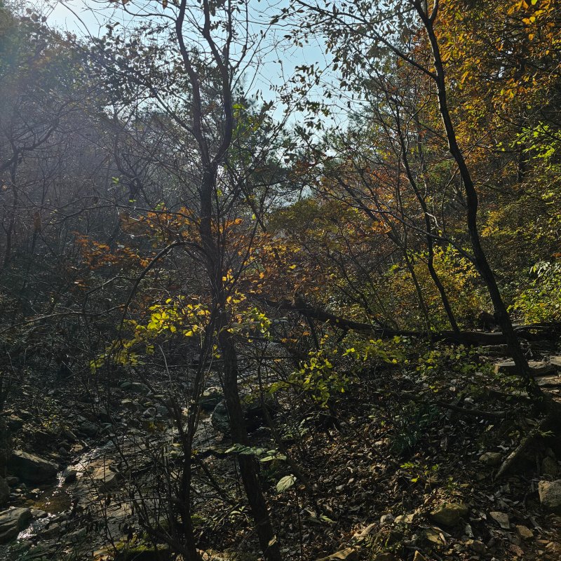 단풍이 아름답게 물든 산